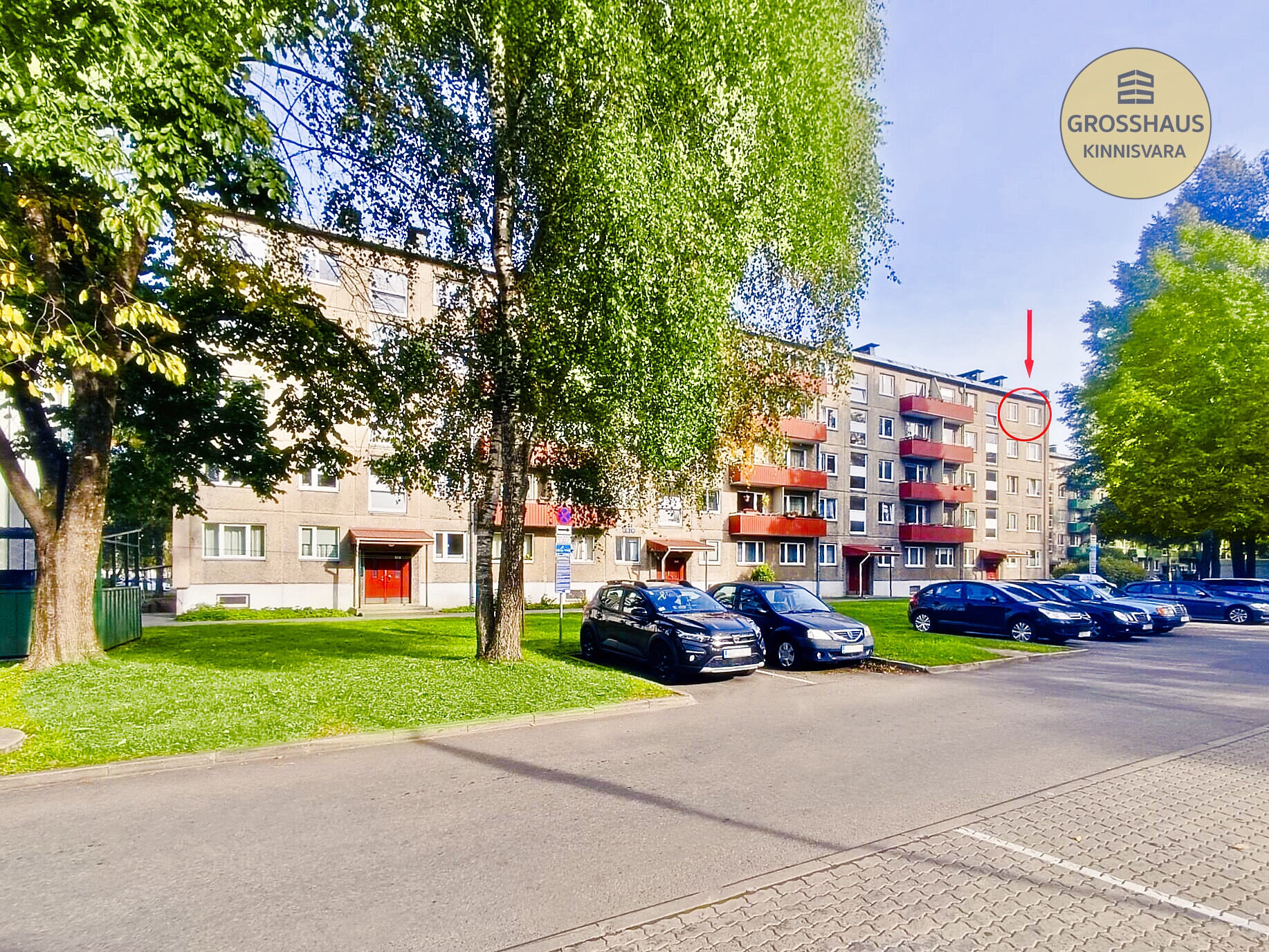 Объявление #50