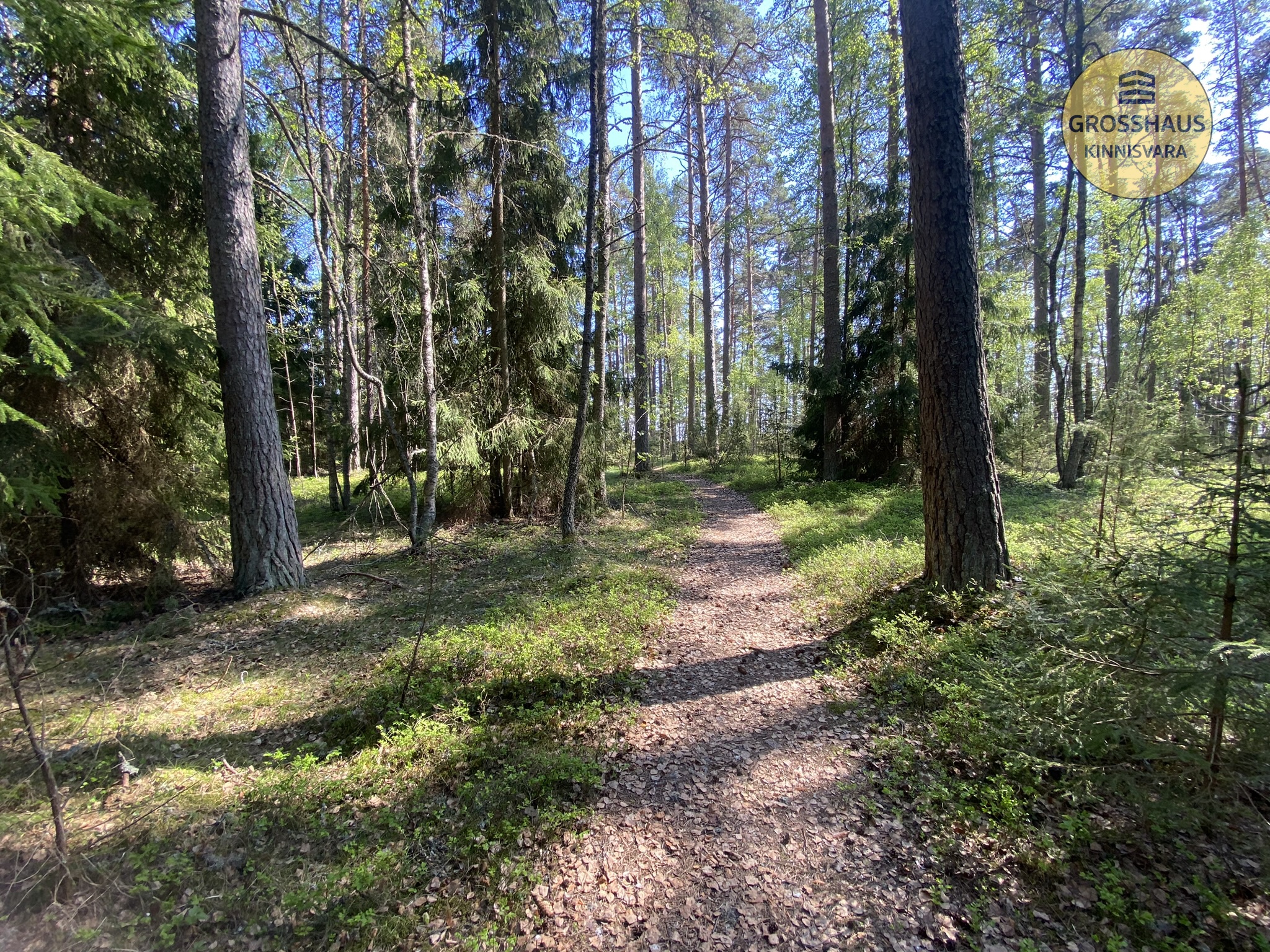 Фотография объекта 3