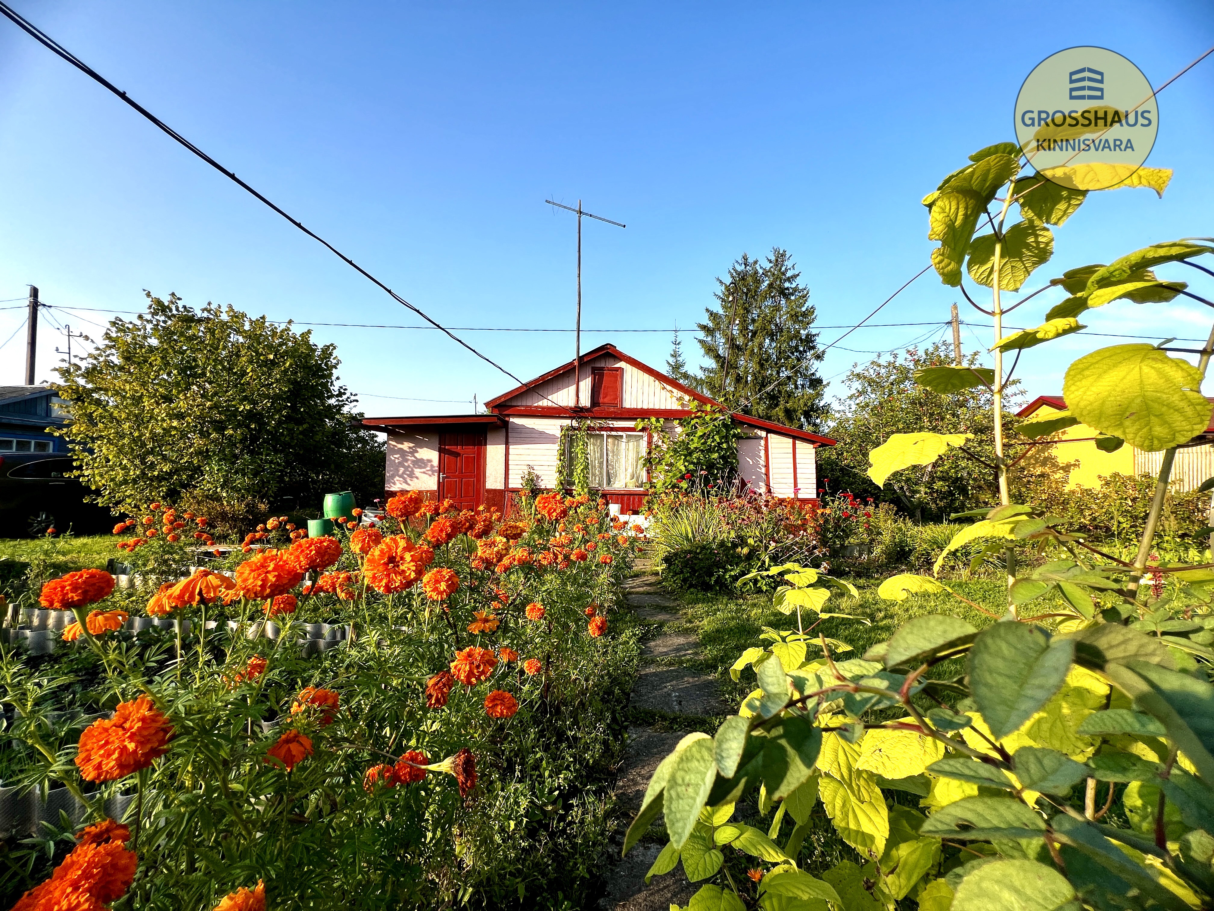 Фотография объекта 3